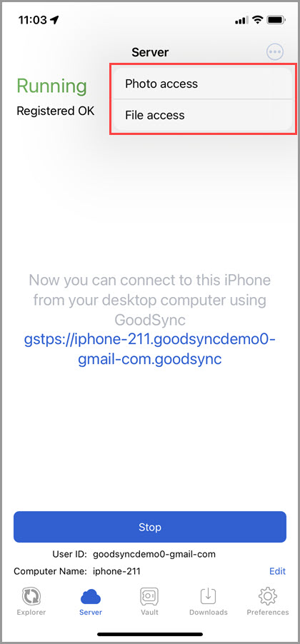 Screenshot of the 'Server' tab in GoodSync for iOS showing how to grant GoodSync access to photos or files on the device