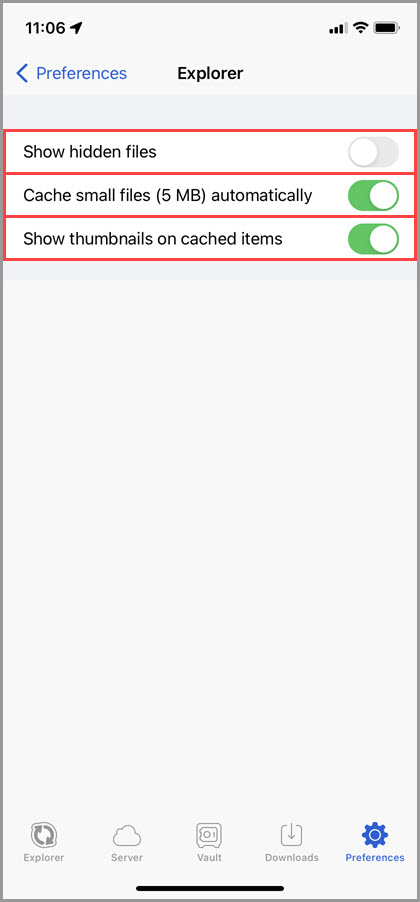 Screenshot of the 'Explorer' section of the GoodSync for iOS Preferences highlighting the available settings