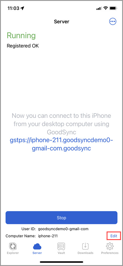 Screenshot of the 'Server' tab in GoodSync for iOS illustrating how to access the 'Edit' button to navigate to the Server Preferences