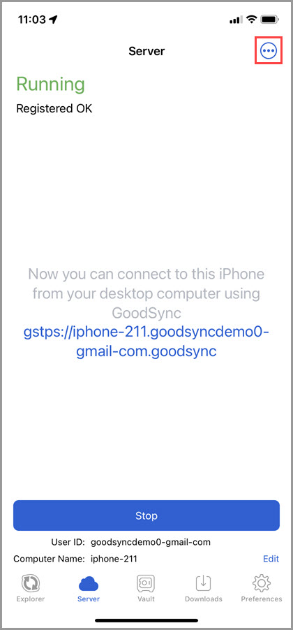 Screenshot of the 'Server' tab in GoodSync for iOS highlighting the 3-dot icon in the upper right corner