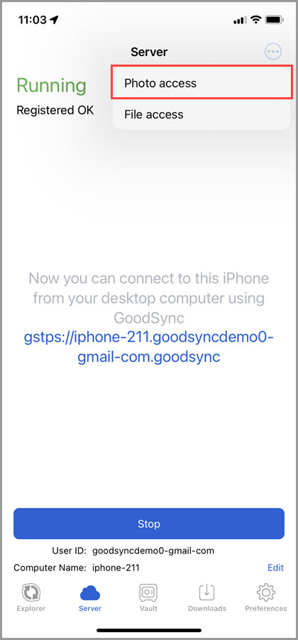 Screenshot of the 'Server' tab in GoodSync for iOS showing how to grant GoodSync access to photos on the device