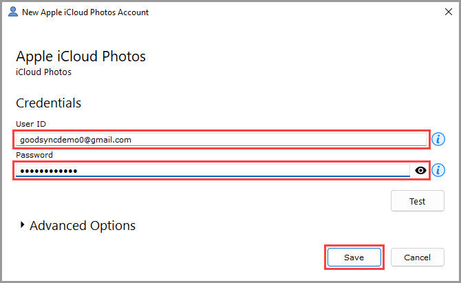 Demonstrating how to enter the Apple ID credentials to authorize GoodSync for access to Apple iCloud Photos storage