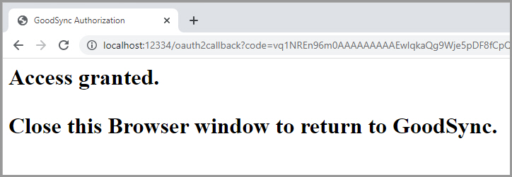 Screenshot showing the confirmation of access granted to the Google Team Drive file system
