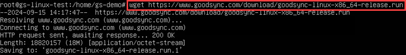 Screenshot demonstrating how to download the installer of GoodSync for Linux