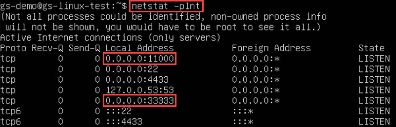 Screenshot displaying how to verify the configuration of the GoodSync for Linux installation