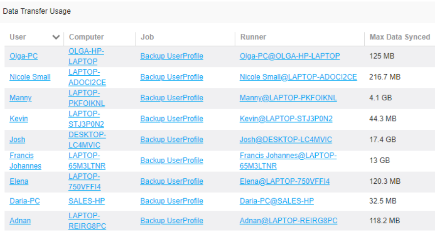 Screenshot showing an example Data Transfer Usage report in the GoodSync Control Center