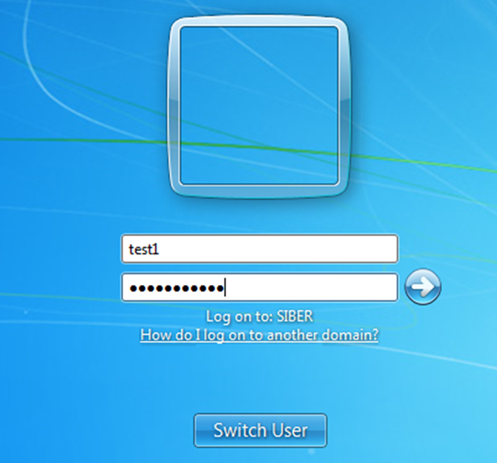 Screenshot showing a user logging into their domain account, triggering the execution of the GoodSync Runner deployment