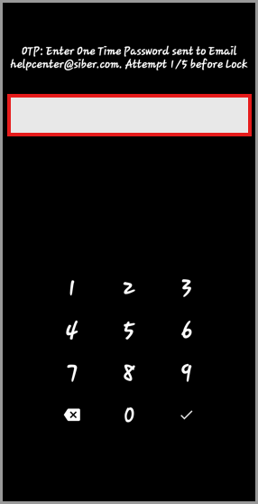GoodSync one-time password verification screen