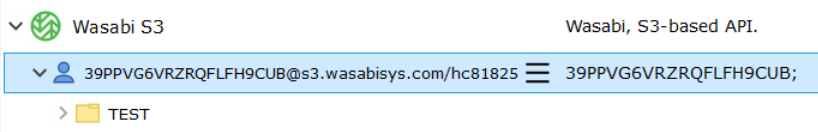 Saved Wasabi S3 connection in GoodSync